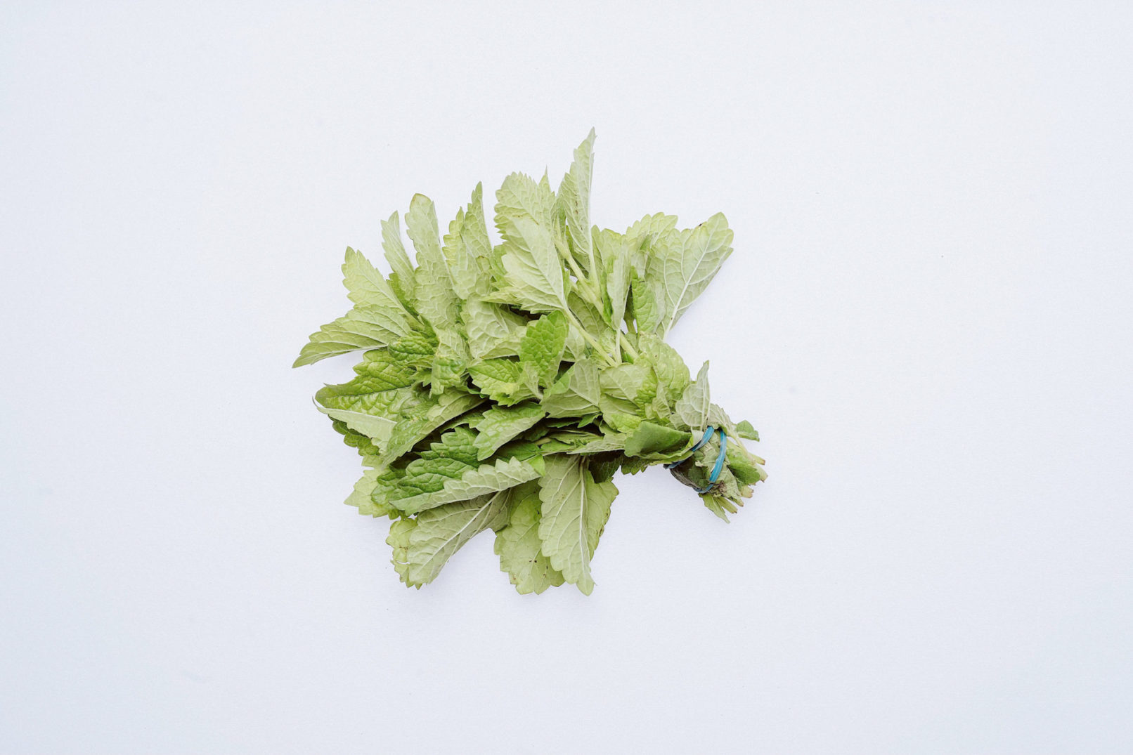 Produktfotografie von frischem Gemüse für FESA
