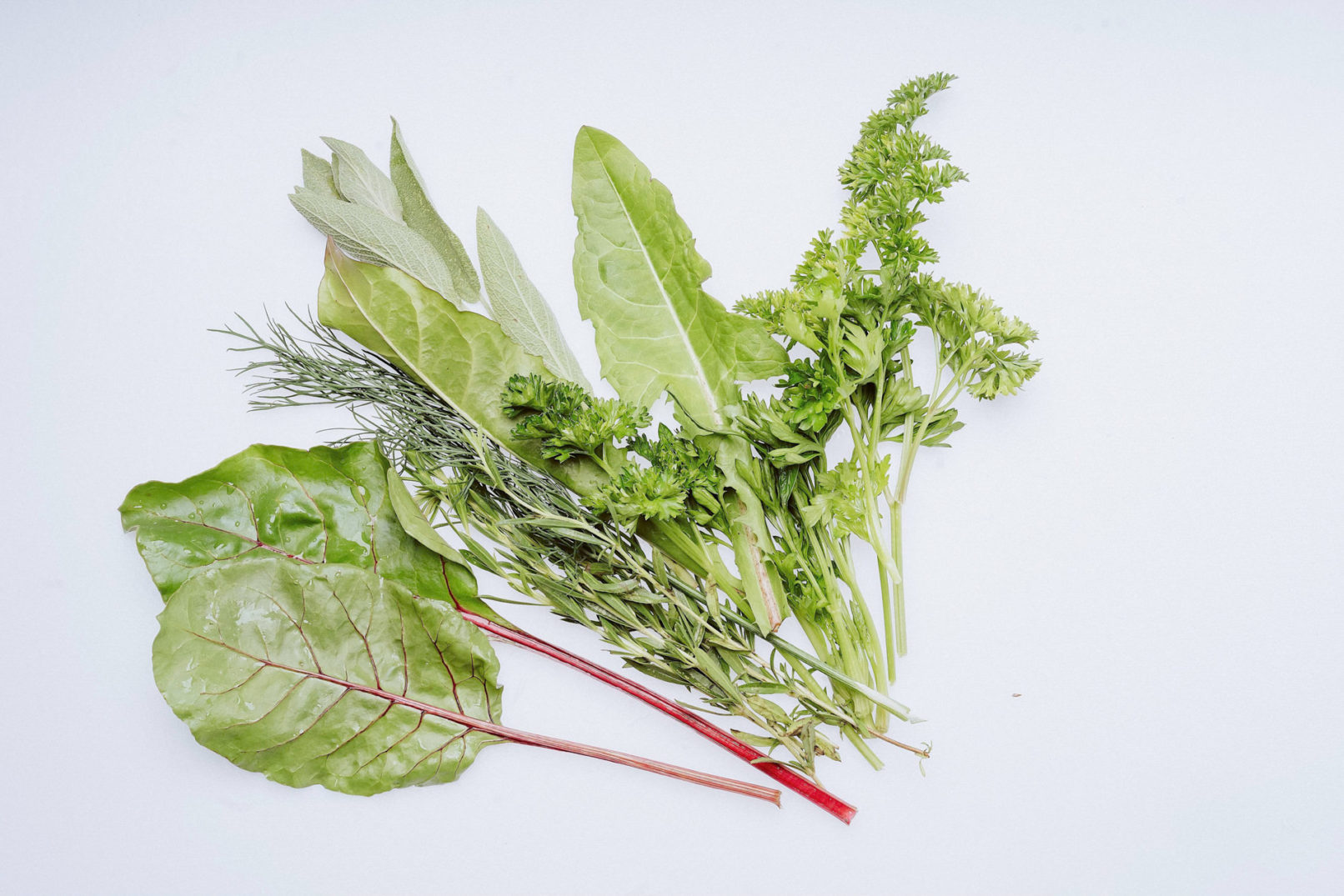 Salat-Produktfotografie für den FESA Gemüsegroßhandel