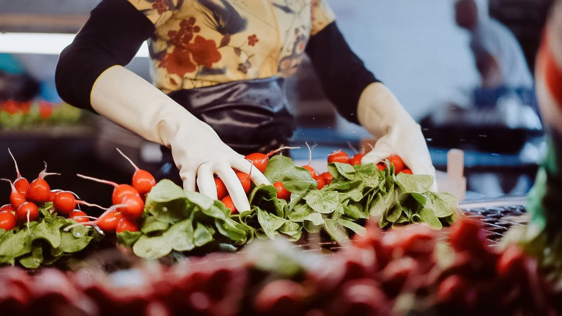 Ernte und Produktion bei FESA, Unternehmensreportage Pfalz