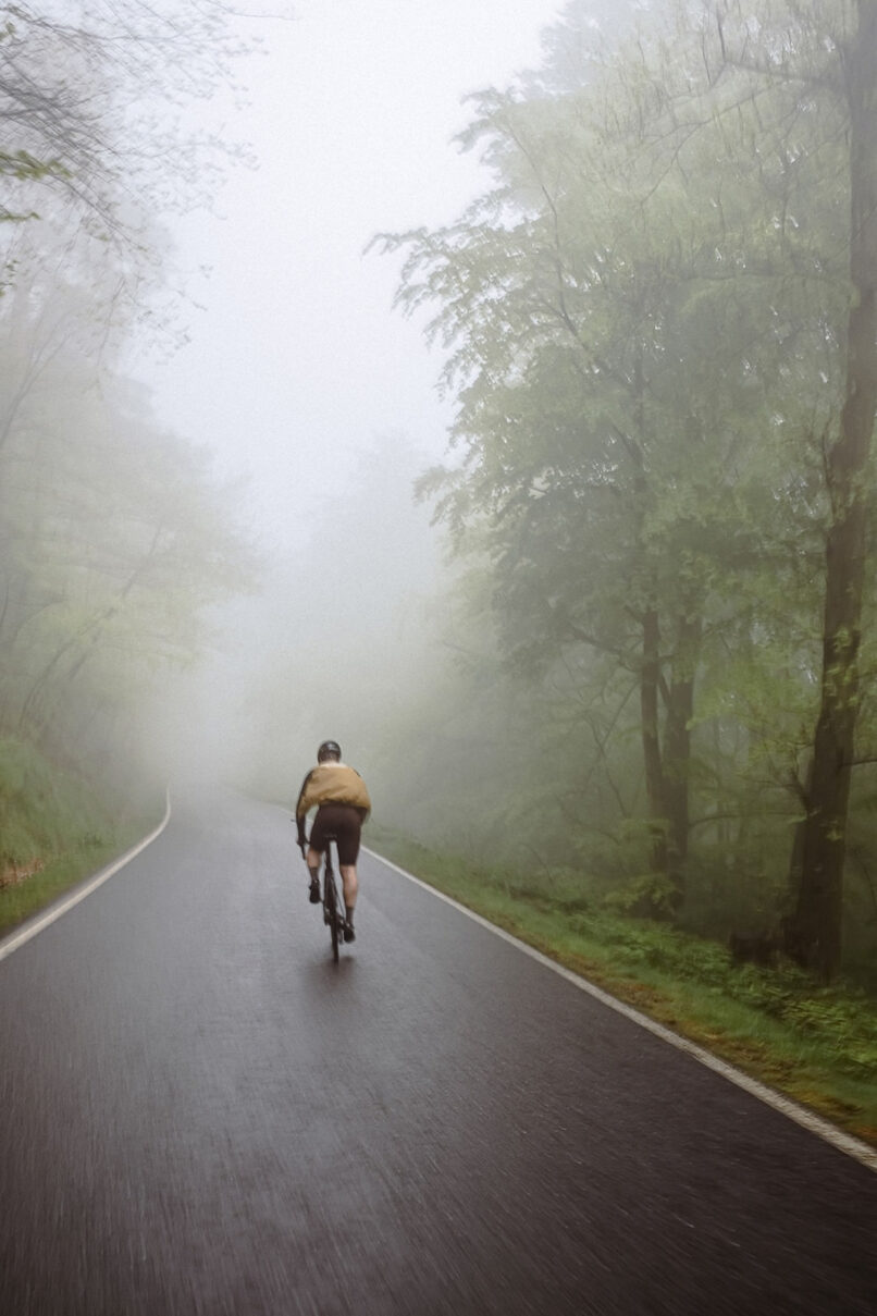 Radfahrer in gelber Jacke von hinten auf nasser Straße durch Nebel und Laubwald, Rennradfotografie von Sebastian Weindel