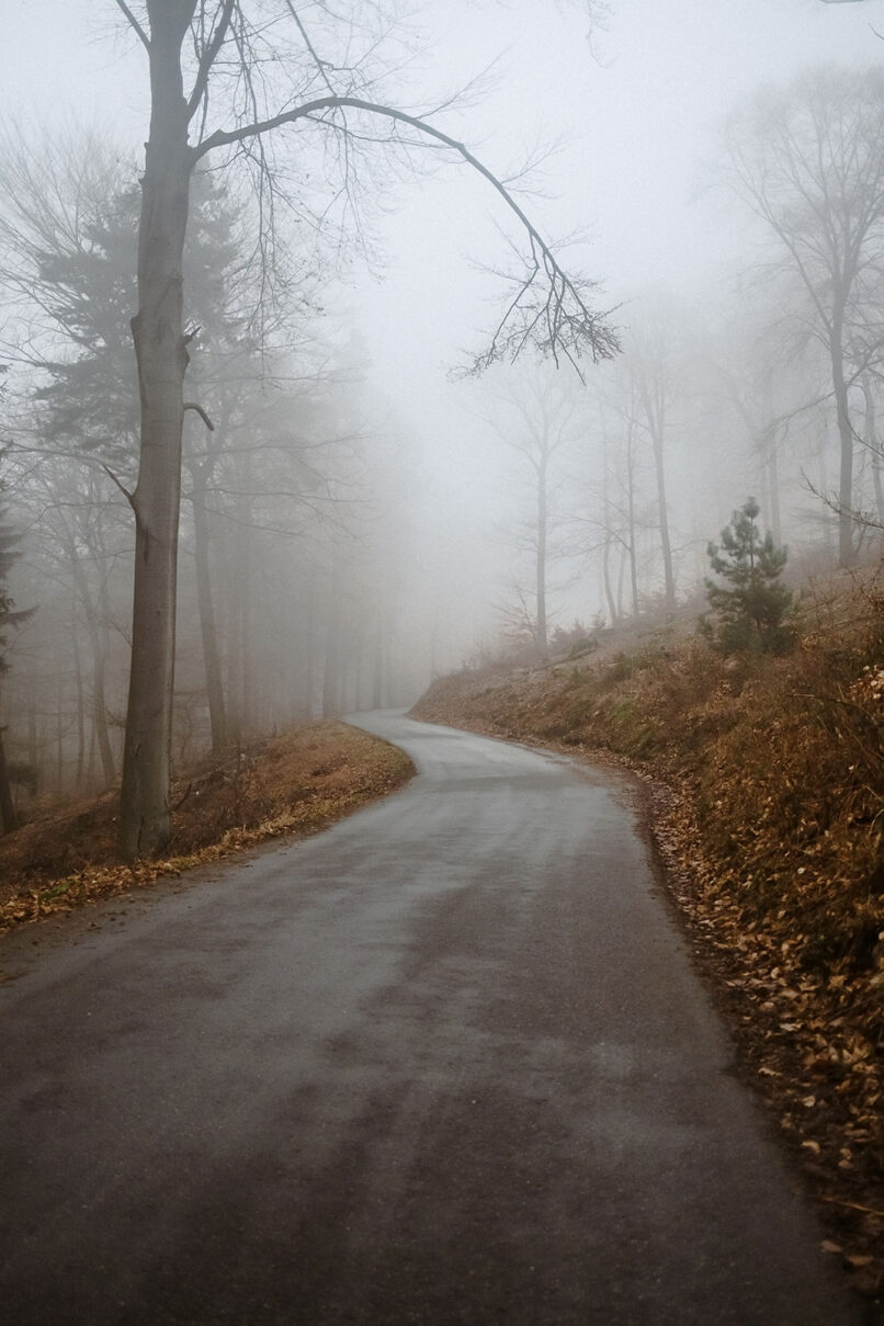 Nebelige Waldstraße mit kahlen Buchen und einer Kurve, Rennradfotografie von Sebastian Weindel